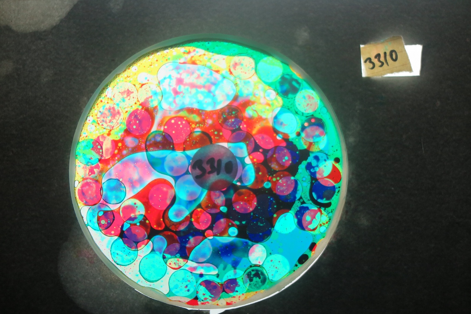 BV3310 bubble vision oil wheel